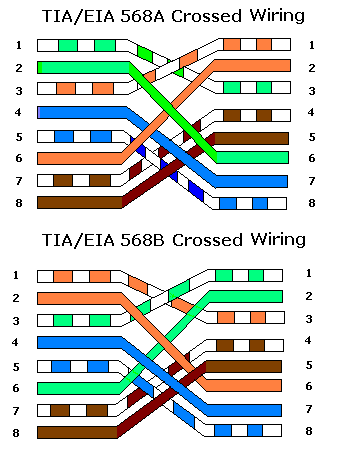 Gigabit Ethernet Cable on Gigabit Ethernet Cross Cable How To